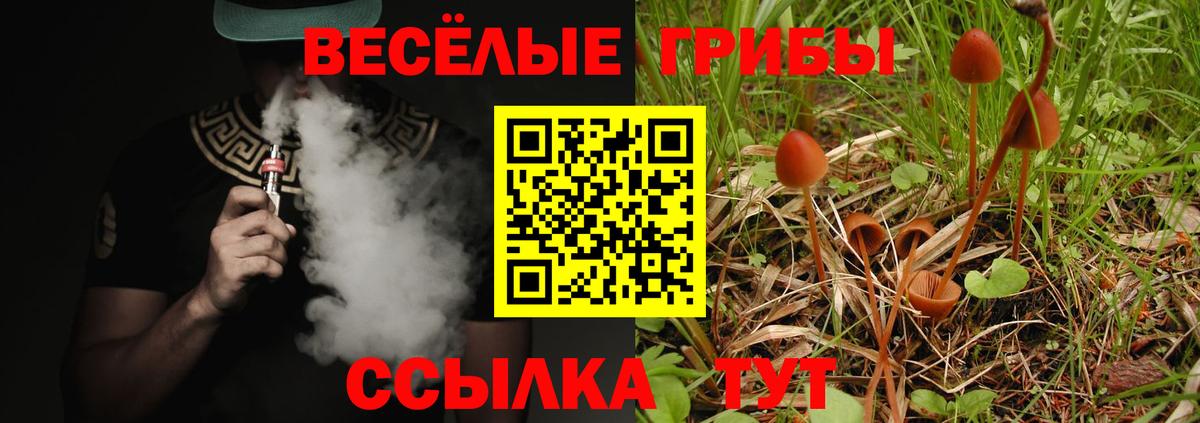 Галлюциногенные грибы ЛСД  Вход с VPN  Майский 