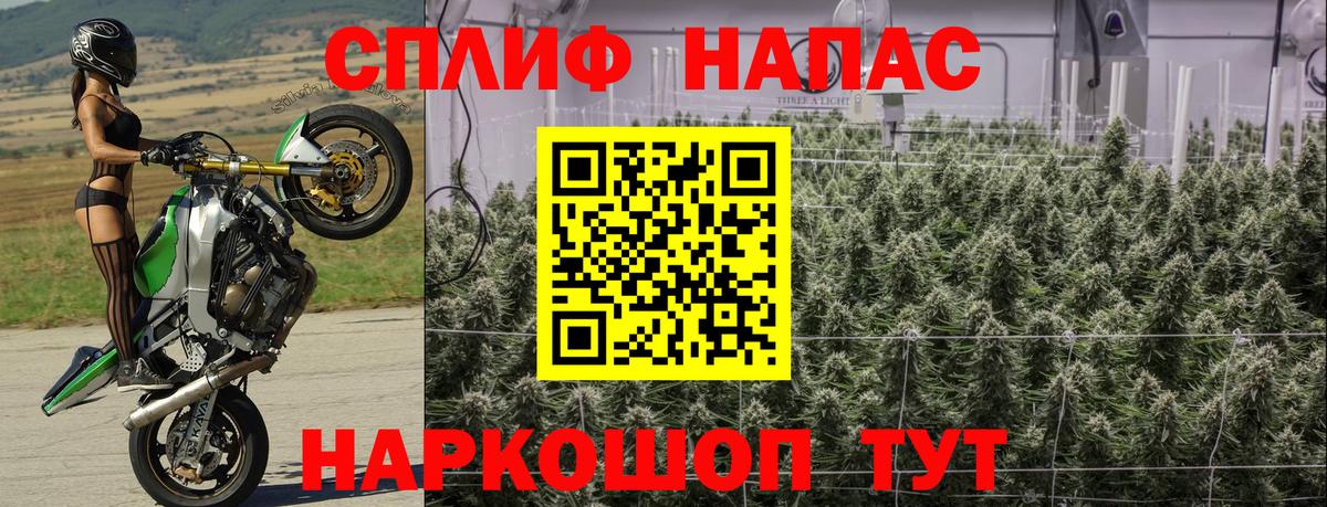 Шишки марихуана марихуана  Марихуана планчик  Канабис семена  Майский  Вход с VPN 